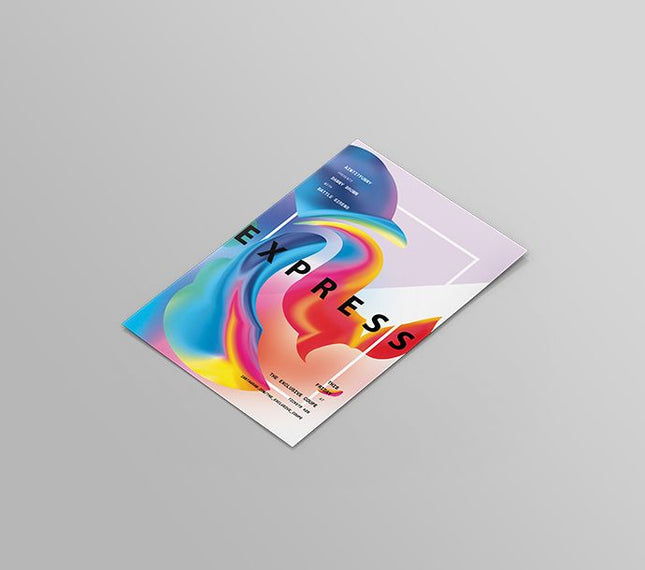 DL Flyers & Leaflets